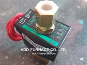 CKD AG41-02-2-AC220V