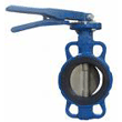 butterfly-valve