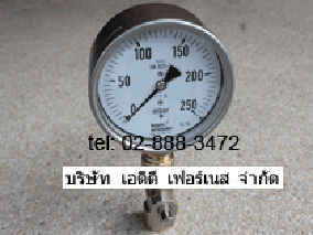 kromschroder Pressure Gauge Push Button Valve