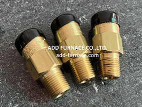 Rego 3129G Safety Relief Valve