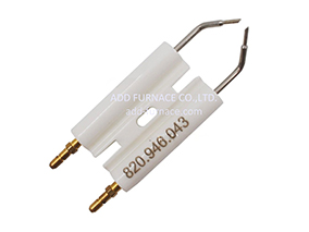 Riello Electrode 3007617