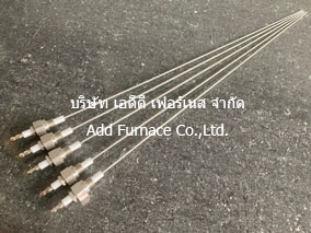 L=300mm Flame Rod